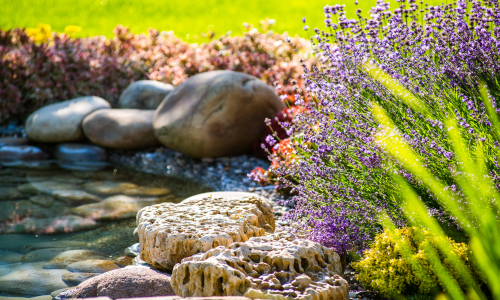 Landscaped pond